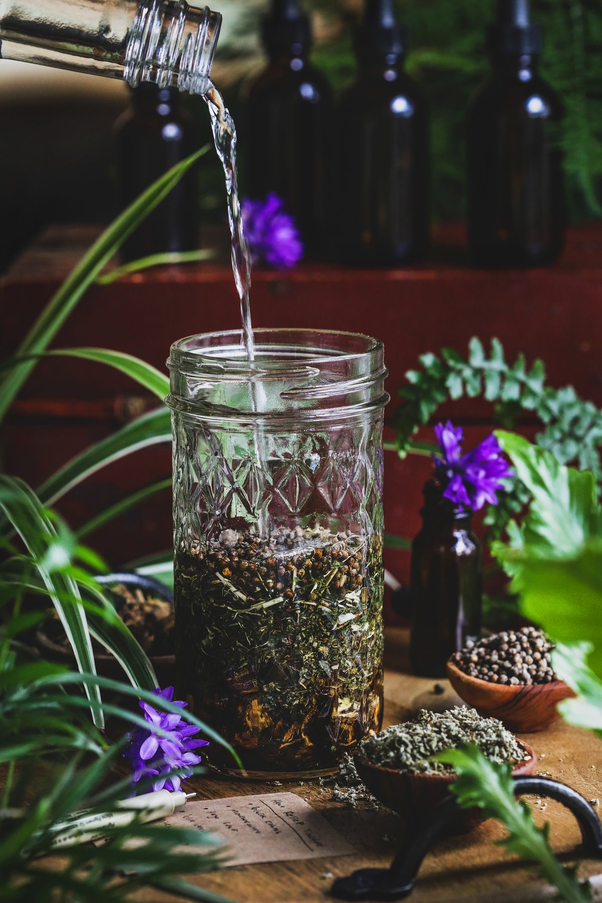 Black Cohosh A Powerhouse Herb to Use and Source Mindfully+ Recipe for